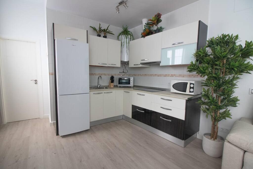 Trinidad Apartment Malaga Exterior photo